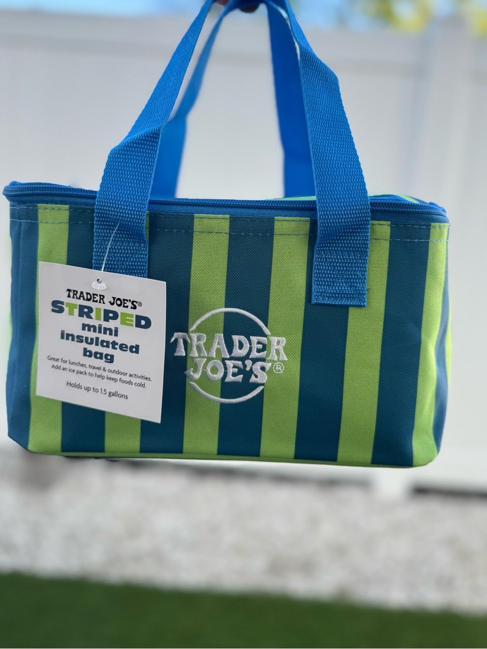 Trader Joe's Striped Mini Insulated Bag - Blue & Green